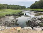 MCP Site 646 - Culvert, Doughty Cove, Harpswell, Maine