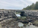 MCP Site 646 - Culvert, Doughty Cove, Harpswell, Maine