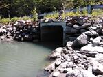 MCP Site 656 - Culvert, Hen Cove, Harpswell, Maine