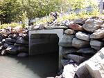 MCP Site 656 - Culvert, Hen Cove, Harpswell, Maine