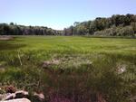 MCP Site 669 - Open Bottom Arch, New Meadows River, Harpswell, Maine