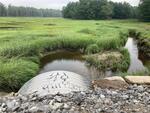 MCP Site 670 - Pipe Arch Culvert, Thomas Bay, Brunswick, Maine