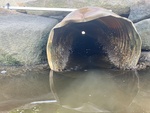 MCP Site 920 - Round Culvert, British Canal/Hatch Cove, Castine, Maine