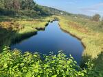 MCP Site 920 - Round Culvert, British Canal/Hatch Cove, Castine, Maine