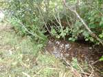 MCP Site 924 - Round Culvert, Unspecified Waterbody, Brooksville, Maine