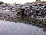 MCP Site 955 - Bridge with Abutments, Long Cove, Deer Isle, Maine