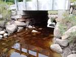 MCP Site 967 - Bridge with Abutments, Meadow Brook, Sedgwick, Maine