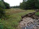 MCP Site 967 - Bridge with Abutments, Meadow Brook, Sedgwick, Maine