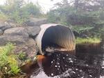 MCP Site 978 - Round Culvert, W Brook McHeard Cove, Blue Hill, Maine