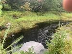 MCP Site 978 - Round Culvert, W Brook McHeard Cove, Blue Hill, Maine