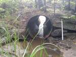 MCP Site 1199 - Round Culvert, Orr Cove, Brooksville, Maine