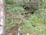 MCP Site 1199 - Round Culvert, Orr Cove, Brooksville, Maine