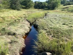 MCP Site 1245 - Culvert, Unspecified Waterbody, Penobscot, Maine