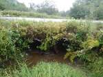 MCP Site 1256 - Round Culvert, Unspecified Waterbody, Brooksville, Maine
