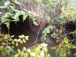 MCP Site 1256 - Round Culvert, Unspecified Waterbody, Brooksville, Maine
