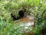 MCP Site 1271 - Round Culvert, Fish Creek, Deer Isle, Maine