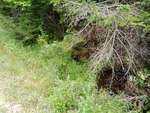 MCP Site 1271 - Round Culvert, Fish Creek, Deer Isle, Maine