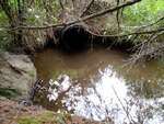 MCP Site 1271 - Round Culvert, Fish Creek, Deer Isle, Maine