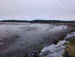 MCP Site 1282 - Undefined Crossing Type/Restriction, Billings Cove, Deer Isle, Maine