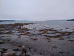 MCP Site 1282 - Undefined Crossing Type/Restriction, Billings Cove, Deer Isle, Maine