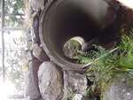 MCP Site 1283 - Round Culvert, Wells Cove, Brooklin, Maine