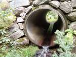 MCP Site 1283 - Round Culvert, Wells Cove, Brooklin, Maine