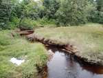 MCP Site 1422 - Bridge with Abutments, Sawyer Brook, Milbridge, Maine