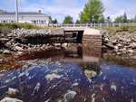 MCP Site 1424 - Bridge with Abutments, Narragragus River, Milbridge, Maine