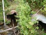 MCP Site 1458 - Round Culvert, Gray's Bridge, Addison, Maine