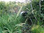 MCP Site 1616 - Round Culvert, Unspecified Waterbody, Bar Harbor, Maine