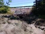 MCP Site 1694 - Round Culvert, Unspecified Waterbody, Milbridge, Maine