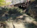 MCP Site 1694 - Round Culvert, Unspecified Waterbody, Milbridge, Maine