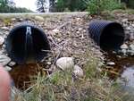 MCP Site 1702 - Culvert, Timber Cove, Harrington, Maine