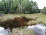 MCP Site 1702 - Culvert, Timber Cove, Harrington, Maine