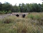MCP Site 1702 - Culvert, Timber Cove, Harrington, Maine