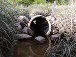 MCP Site 1708 - Round Culvert, Pleasant River, Dyer Cove, Addison, Maine