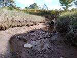 MCP Site 1708 - Round Culvert, Pleasant River, Dyer Cove, Addison, Maine