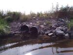 MCP Site 1712 - Round Culvert, S TR of Knowles Brook, Addison, Maine