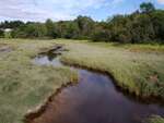 MCP Site 1712 - Round Culvert, S TR of Knowles Brook, Addison, Maine