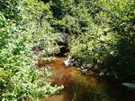 MCP Site 1881 - Culvert, Branch Brook, Columbia Falls, Maine