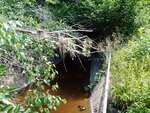 MCP Site 1881 - Culvert, Branch Brook, Columbia Falls, Maine