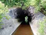 MCP Site 1881 - Culvert, Branch Brook, Columbia Falls, Maine