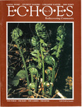 Echoes : April - June 2001