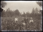 Empire Grove 01: Group of Five People in a Cornfield, East Poland, ca. 1911