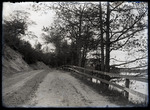 Empire Grove 10: Road with Fence and Lake Beyond, East Poland, ca. 1911