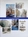Falmouth Maine Town Report 1998