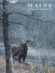 Maine Fish and Wildlife Magazine, Fall 1981 by Maine Department of Inland Fisheries and Wildlife