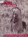 Maine Fish and Game Magazine, Spring 1969 by Maine Department of Inland Fisheries and Wildlife