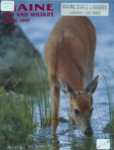 Maine Fish and Wildlife Magazine, Spring 1999 by Maine Department of Inland Fisheries and Wildlife