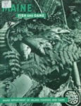 Maine Fish and Game Magazine, Summer 1970 by Maine Department of Inland Fisheries and Wildlife